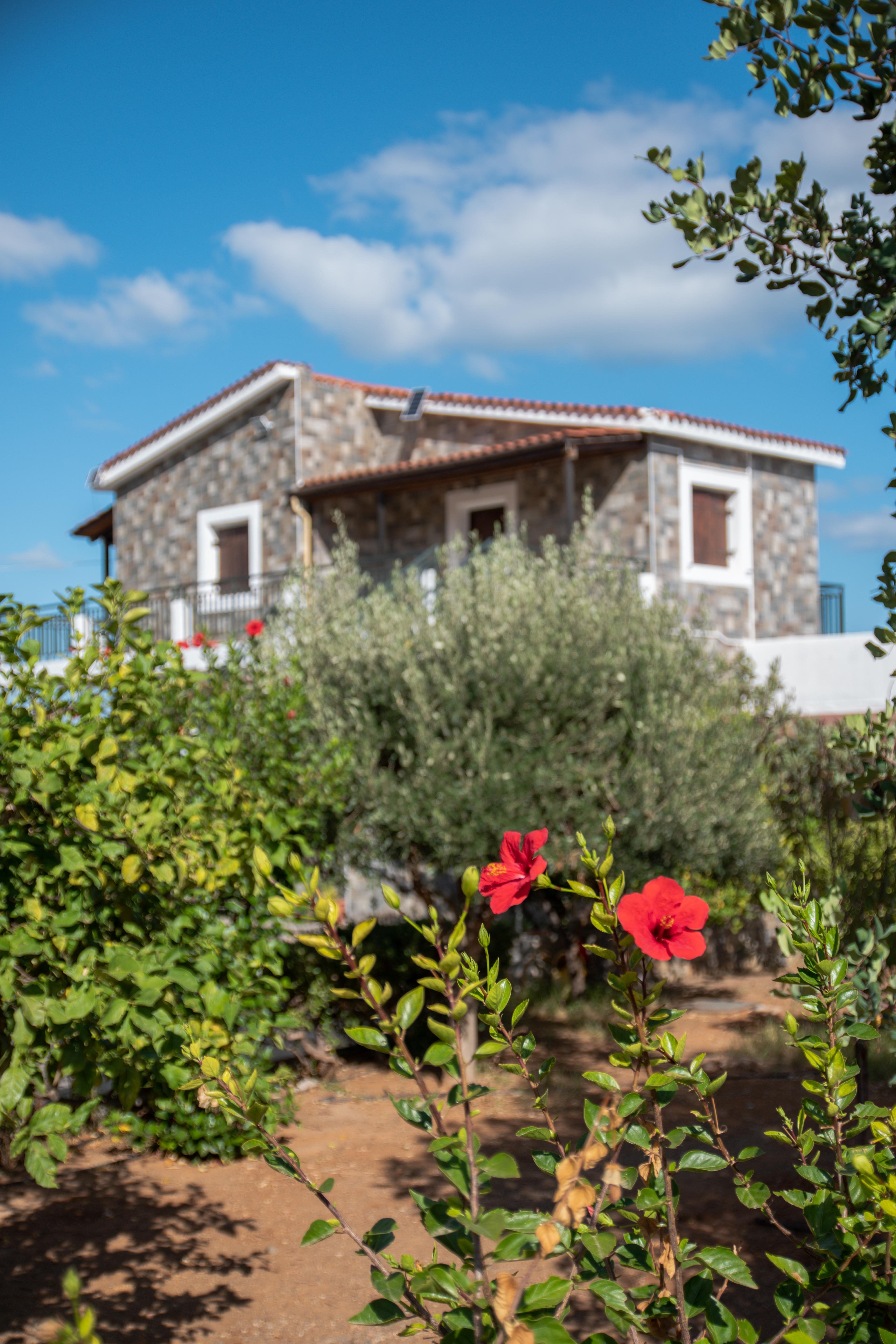 Villa Medusa Herszonisszosz Kültér fotó
